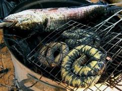 Vườn quốc gia U Minh Hạ - cá lóc và rắn bông súng