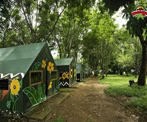 Khu du lịch Madagui - khu lều trại rợp mát bóng cây