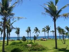 Bãi biển Mỹ Khê Đà Nẵng điểm tô hàng dừa thảm cỏ