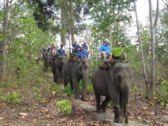Vườn quốc gia Yok Đôn - cưỡi voi trong rừng khộp