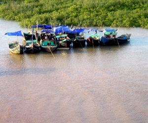 Vườn quốc gia Xuân Thủy - thuyền trên sông Vọp