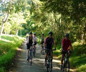 Vườn quốc gia Cúc Phương - đạp xe trong rừng