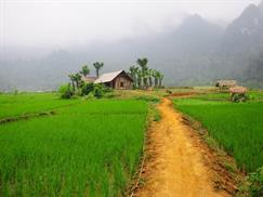 Vườn quốc gia Xuân Sơn - bản làng yên bình