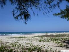 Bãi biển Mỹ Khê Quảng Ngãi còn đậm nét hoang sơ