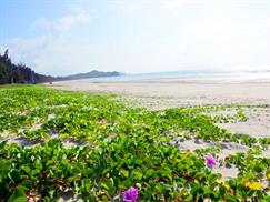 Đảo Quan Lạn - vẻ thơ mộng của bãi biển Sơn Hào