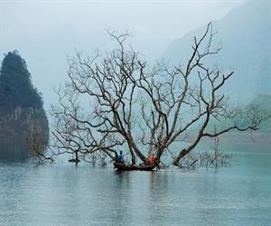 Hồ Na Hang với vẻ đẹp kỳ ảo