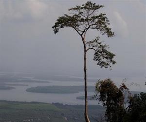 Núi Bà Rá nhìn xuống hồ Thác Mơ Bình Phước