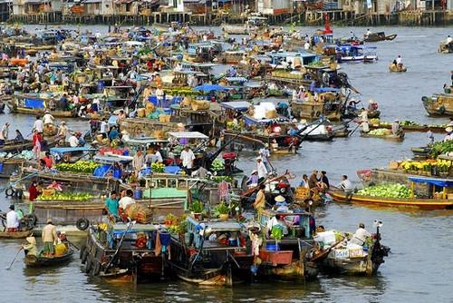 Panoramic view of Cai Rang floating market
