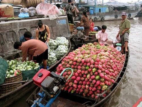 A medium sized boat sell a lot of dragon fruit