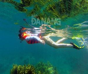 Bán đảo Sơn Trà - lặn biển ngắm san hô