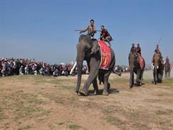 Khu du lịch Buôn Đôn trong ngày hội đua voi