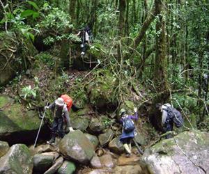 Vườn quốc gia Chư Yang Sin - khám phá rừng già