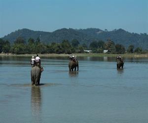 Hồ Lắk - cưỡi voi lội nước