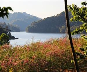 Hồ Pa Khoang - vườn hoa đào