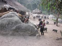 Khu bảo tồn thiên nhiên Mường Nhé - bản dân tộc