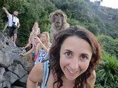 Đảo khỉ Cát Bà - chú khỉ ngồi trên vai du khách