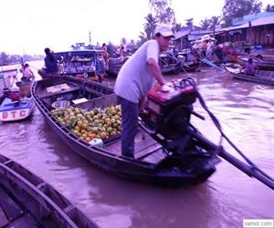 Chợ nổi Ba Ngàn - lái xuồng điệu nghệ Chợ nổi Ba Ngàn - lái xuồng điệu nghệ
