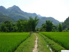Mai Chau valley 11