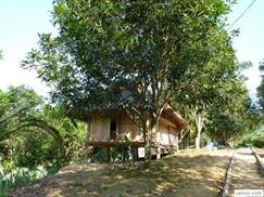 Du lịch Thung Nai - nhà sàn trên đảo Dừa