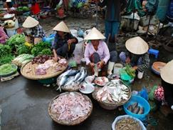 Chợ Đông Ba - thịt cá tươi nguyên