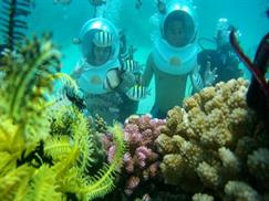 Hòn Tằm Nha Trang - đi bộ dưới đáy biển ngắm san hô