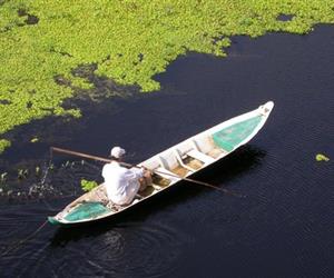 Vườn quốc gia U Minh Thượng - câu cá lý tưởng