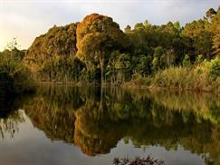 Vườn quốc gia Chư Mom Ray - mặt hồ phẳng lặng