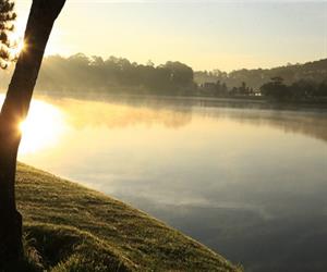 Hồ Xuân Hương Đà Lạt huyền ảo trong sương sớm