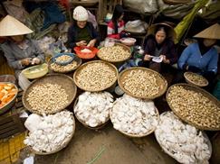 Chợ Đà Lạt - khu hàng các loại nấm