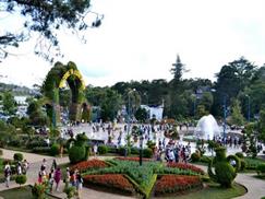 Vườn hoa thành phố Đà Lạt hấp dẫn du khách