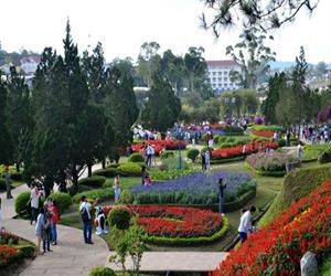 Vườn hoa thành phố Đà Lạt như một góc thơ mộng