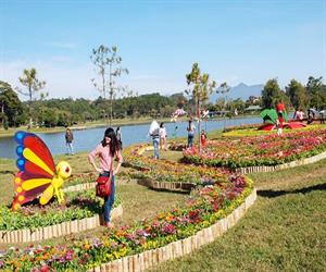 Vườn hoa thành phố Đà Lạt - thảm hoa ven hồ