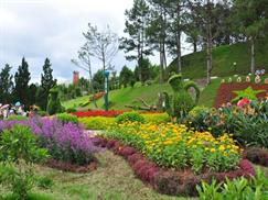 Vườn hoa thành phố Đà Lạt - dốc hoa thoai thoải