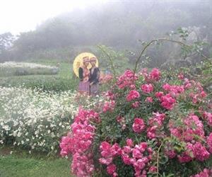 Núi Hàm Rồng Sapa - du khách tạo dáng cùng hoa
