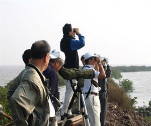 Vườn quốc gia Xuân Thủy - du khách xem chim
