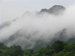 Vườn quốc gia Cúc Phương - đỉnh mây bạc