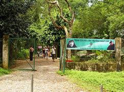 Vườn quốc gia Cúc Phương - trung tâm linh trưởng
