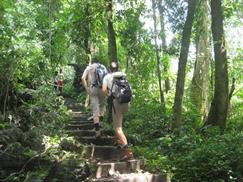 Vườn quốc gia Cúc Phương - đi bộ tuyến ngắn