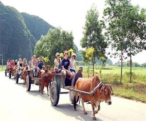 Khu bảo tồn Vân Long - du khách trải nghiệm xe bò