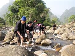 Vườn quốc gia Xuân Sơn - bắt ốc suối