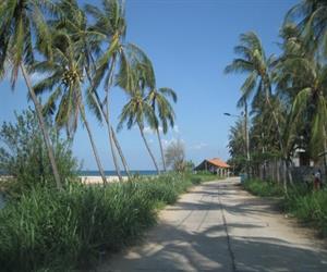 Bãi biển Long Thủy - đường ra rợp mát bóng dừa