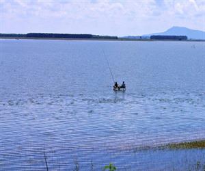 Hồ Dầu Tiếng - câu cá trên mép nước