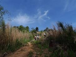 Leo núi Bà Đen Tây Ninh qua thảm cỏ cao
