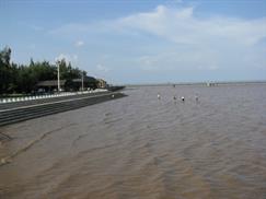 Bãi biển Tân Thành - đê biển Gò Công