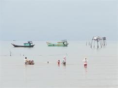 Khách du lịch tắm biển Gò Công Tiền Giang