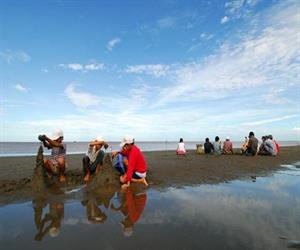 Bãi biển Ba Động - du khách vui chơi