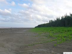 Bãi biển Ba Động đậm nét hoang sơ