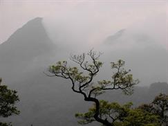 Vườn quốc gia Tam Đảo mang vẻ đẹp huyền ảo