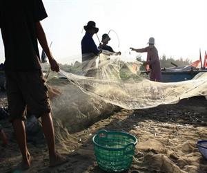 Bãi biển Long Hải - ngư dân gỡ lưới cá