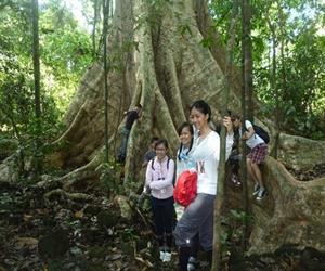Xem cây cổ thụ ở Vườn quốc gia Cát Tiên